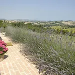 Il Sassone בית חווה קמראנו