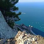 Il Sassone