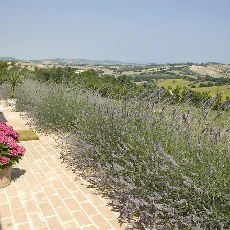 Il Sassòne Alloggio per agriturismo Camerano