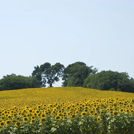Alloggio per agriturismo Il Sassòne