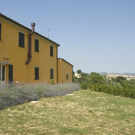Il Sassone