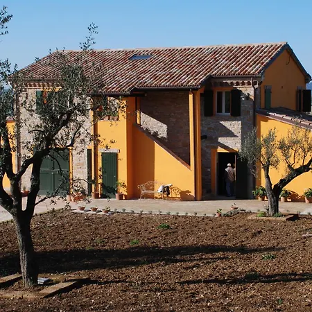 Il Sassone