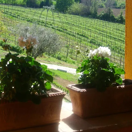 Il Sassone
