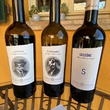 Il Sassòne * Camerano