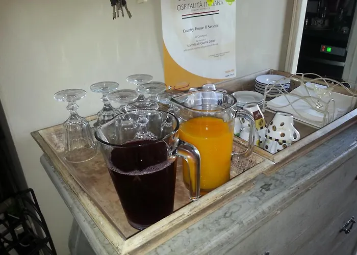 Farm stay Il Sassone