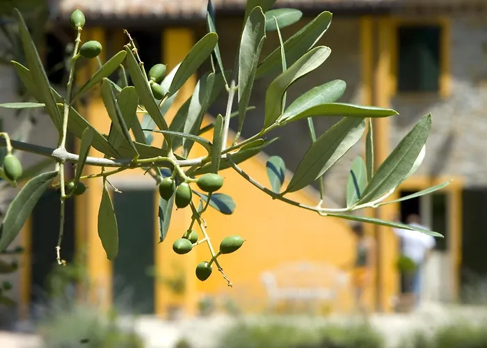 Il Sassone Farm stay