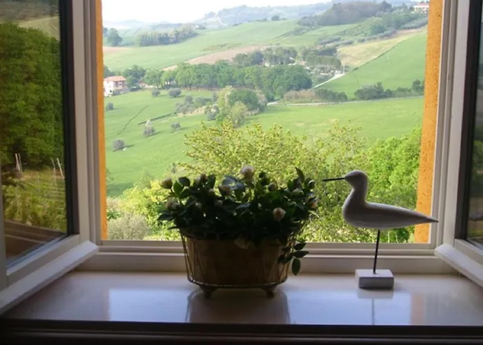 Farm stay Il Sassone *